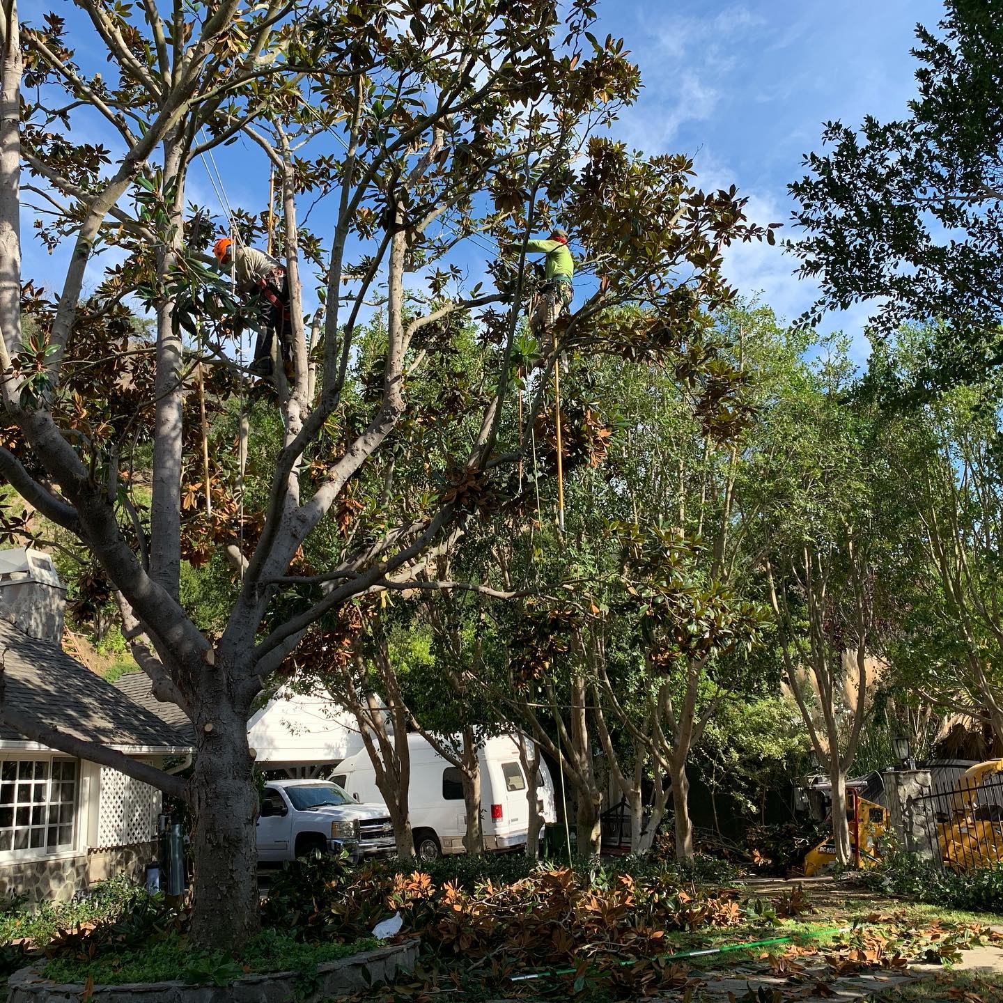 Beautiful residential garden with flowers and green lawn