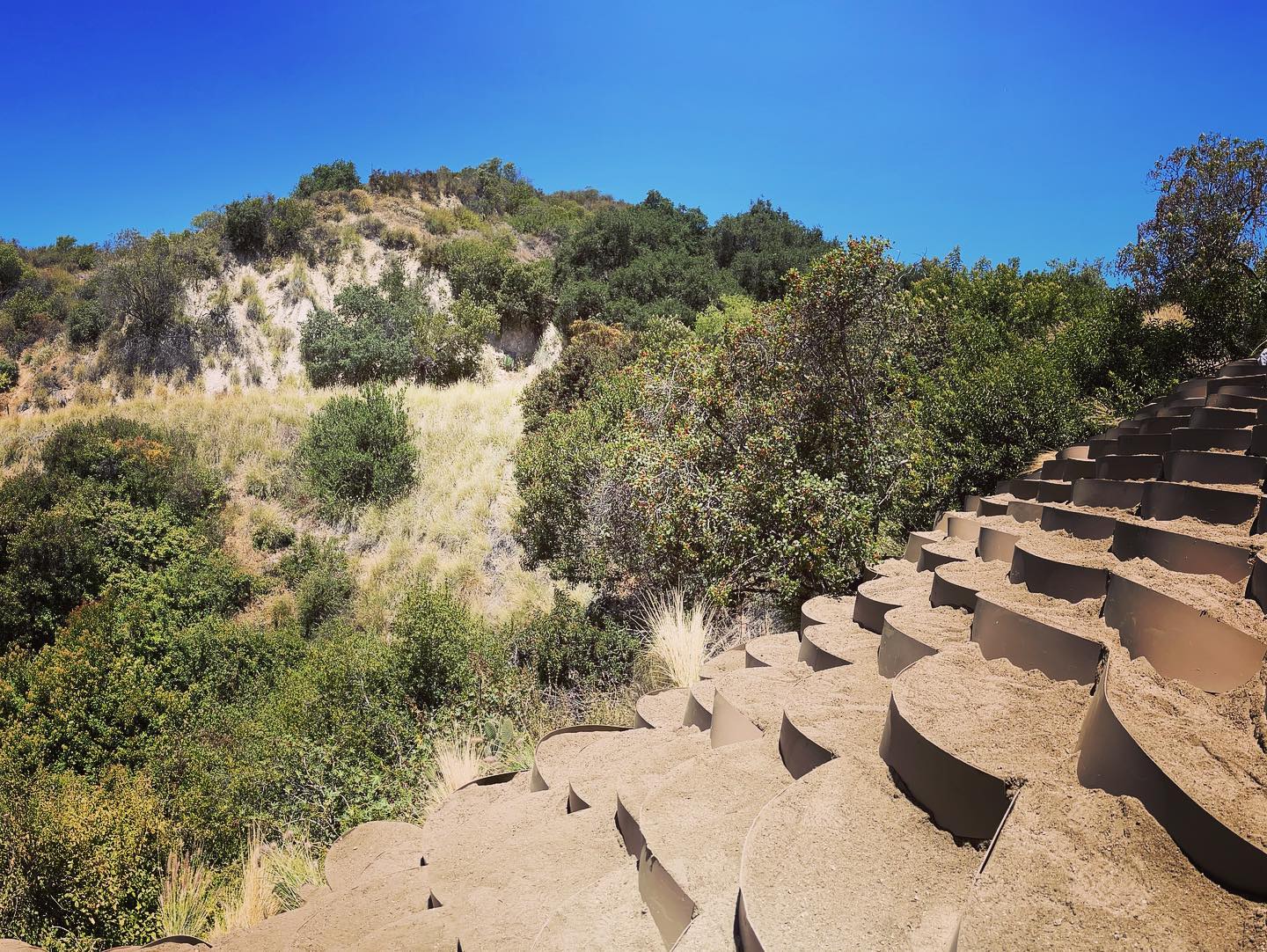 Hillside cleanup and fire prevention clearing