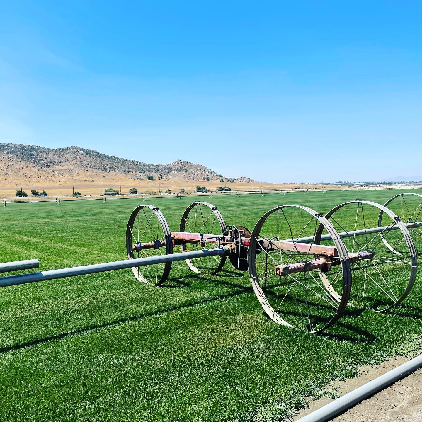 Modern irrigation system in garden bed