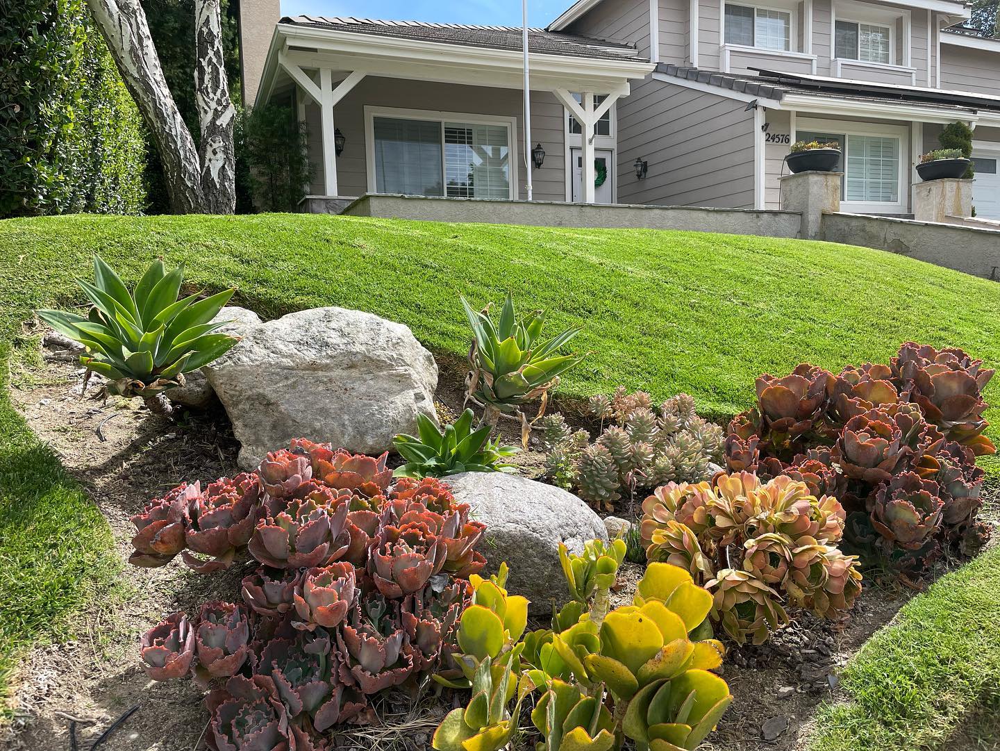 Professional debris removal service