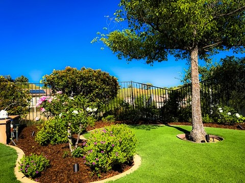 Front yard curb appeal with manicured lawn