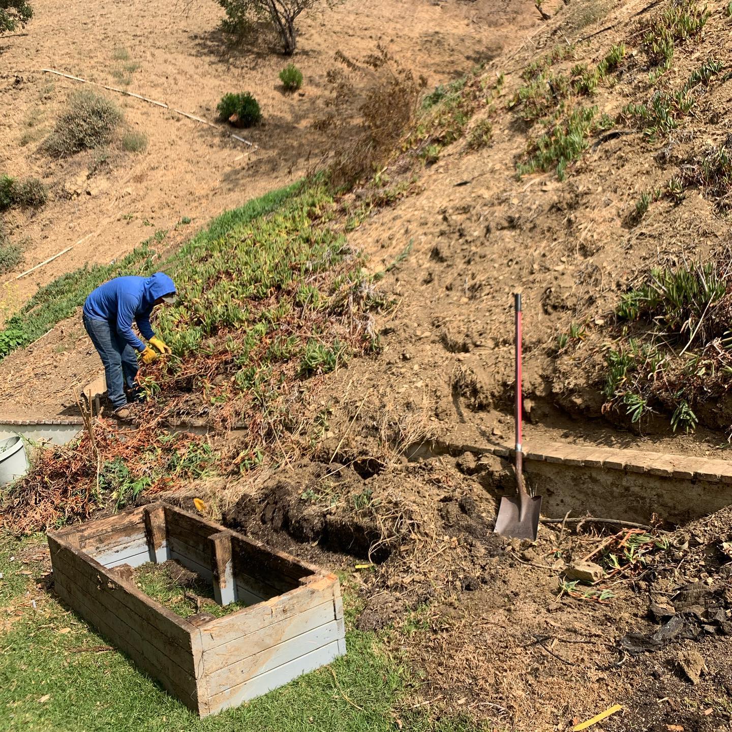 Debris and yard cleanup
